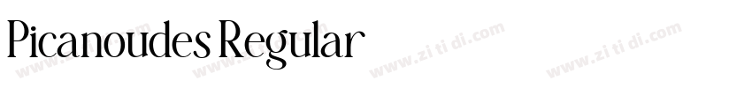 Picanoudes Regular字体转换